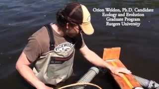 Raritan River Fish Passage &amp; PIT Tagging Study