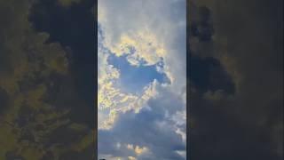 #bollywood #bollywoodsongs #flowers #skyrim #sunny #artscraft #nature