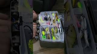 Comment Organiser Son Coffre À Pêche - Anthony Achigan Raymond