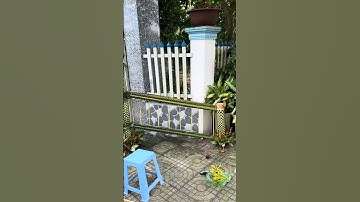 Lấy 2 cây chuối ra buồng làm cổng cưới lá dừa truyền thống #ymt63 #congcuoiladua