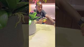 True king #kingidope #dancehall #reggae #music #viral #rap #jamaica #dancehalllegend