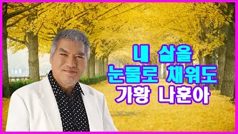 내삶을 눈물로 채워도 // 가황 나훈아 // 가사삽입