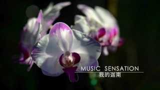 我的迦南 나의 가나안 (Chinese Version) - Music Sensation