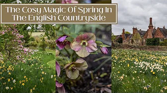 THE COSY MAGIC OF SPRING IN THE ENGLISH COUNTRYSIDE - Spring Is Blooming!