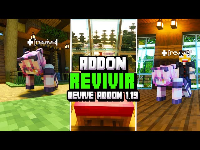 player revive mod｜Búsqueda de TikTok