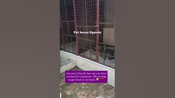 Please friends don’t scroll without helping.  Kindly link in our bio to donate. Even $1 helps.  #fyp