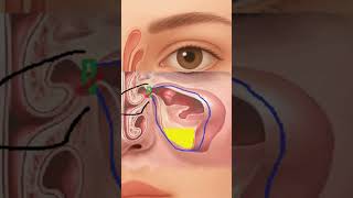🧲 Гравитация делает больно:  9 неожиданных и интимных болезней
