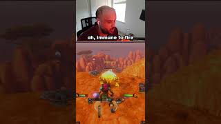 Using fire on the fire elemental #WoW #WorldOfWarcraft