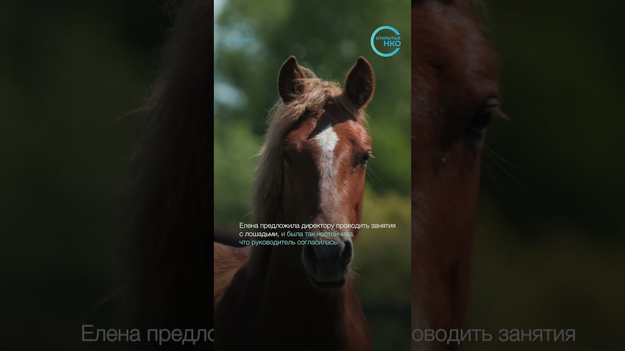 Клуб верховой езды для детей с особенностями развития 