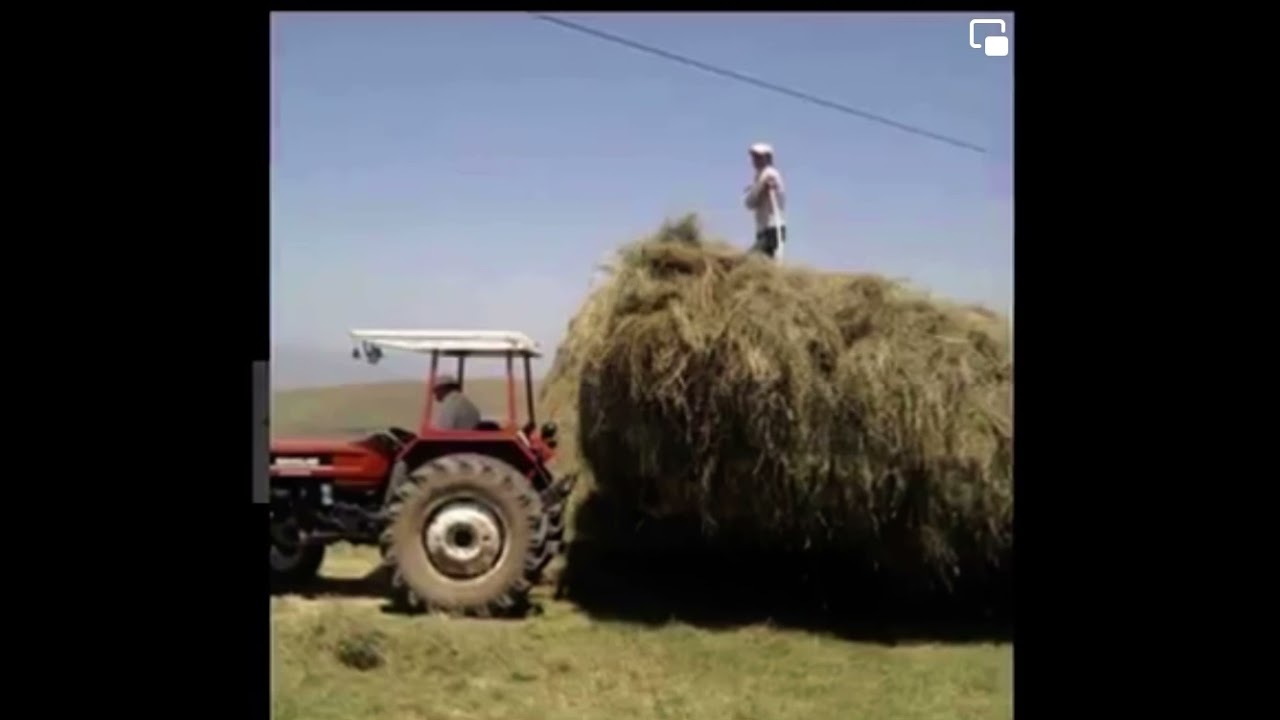 KOYUN ÖREN KÖYÜNDEN GÜZEL GÖRÜNTÜLER İYİ SEHİRLER