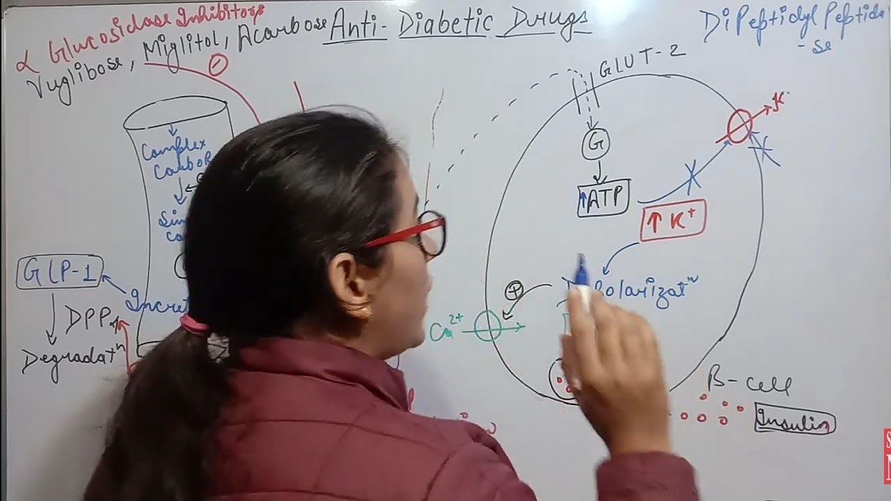 ANTI-DIABETIC DRUGS | PART-2 | ORAL HYPOGLYCEMIC AGENTS