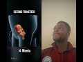Watch a Baby Grow From Conception to Birth