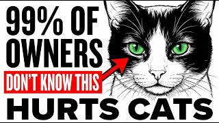 Stop Doing This to Your Cat — Vets Are Shocked How Common It Is