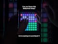 Bollywood x Launchpad X