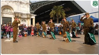 Operativo cívico preventivo en Estación Central