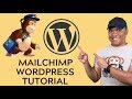 The Complete WordPress MailChimp Tutorial 2019 - Grow your WordPress Mailing List with MailChimp
