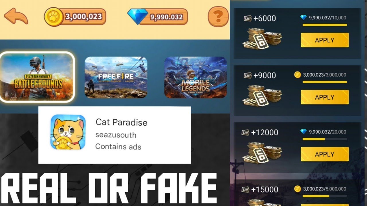 cat paradise real or fake