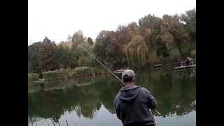 daiwa windcast feeder