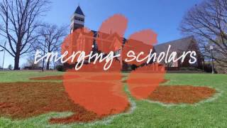Becoming An Emerging Scholar