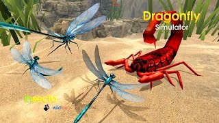 Dragonfly Simulator (by Wild Foot Games) Android Gameplay [HD] screenshot 4