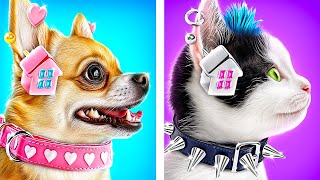 видео: Хорошая собака vs плохая кошка! Мы построили секретные домики для животных! картинка: Хорошая собака vs плохая кошка! Мы построили секретные домики для животных!