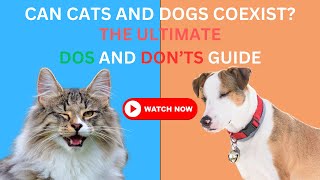 Tips for Introducing Cats and Dogs for a Happy Coexistence by Pets Pine 154 views 4 months ago 1 minute, 55 seconds