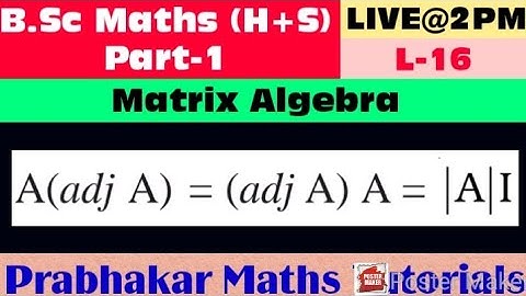 || L-16 || B.Sc. Maths (H+S) || Part-1 || Matrix Algebra || A(adjA) = (adjA)A= |A|I || TMBU ||
