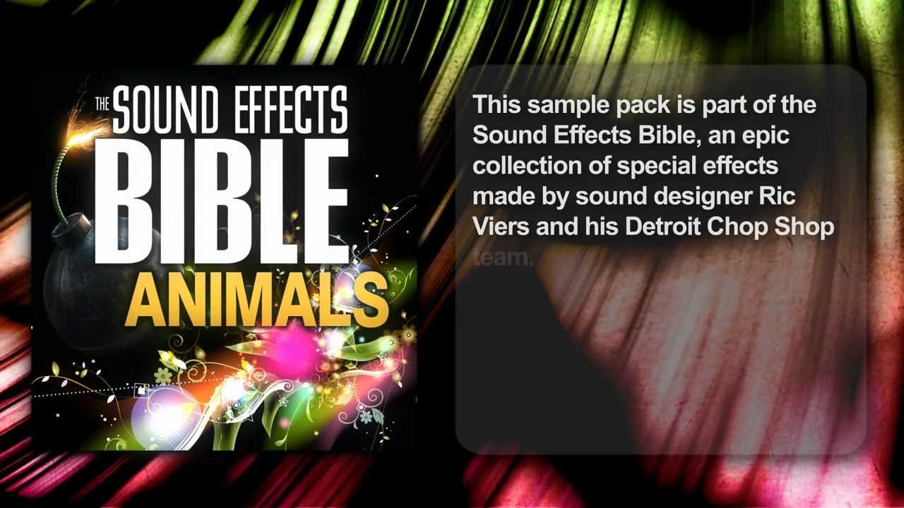 Animals Multimedia Sound FX Sample Library Sound Effects Bible YouTube