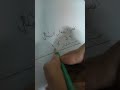 كيفية حساب العمر العقلي للطفل كيفية حساب العمر العقلي للطفل