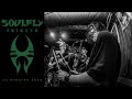 Soulfly Tribute — No Hope = No Fear (live in Clawbar 2022)