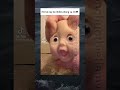 #memes 👀😂🤣