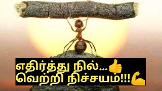 Best tamil motivational whatsapp status . for more please subscribe
trends hunter india channel thank you.