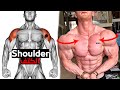 How To Build Your Shoulder Fast (6 Effective Exercises)-تمارين الكتف