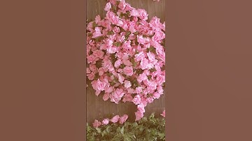 We host premium draping masterclasses all throughout the US