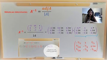 Matriz inversa por determinantes