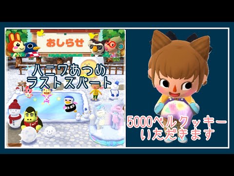 ポケ森 家具 グルミンのしゃしん の入手方法 使い道 どうぶつの森 ポケットキャンプ 攻略大百科