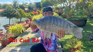 Fishing | Câu Đài | Tập 216 | Săn Cá Rô Phi Chà Bá Hồ Hoàng Tân | Nghiện Câu TV