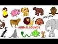 Animal Sounds Quiz