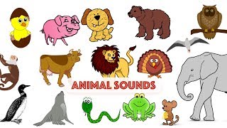 Animal Sounds | Green Bean's Music by Green Bean's Music - Children's Channel 3,738 views 4 years ago 4 minutes, 17 seconds