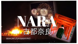 [旅ログ]Japan Nara Day trip Wakakusa yamayaki  奈良・若草山焼き