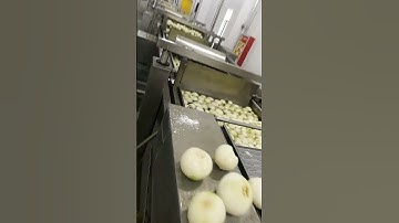 IQF ONIONE, shallots