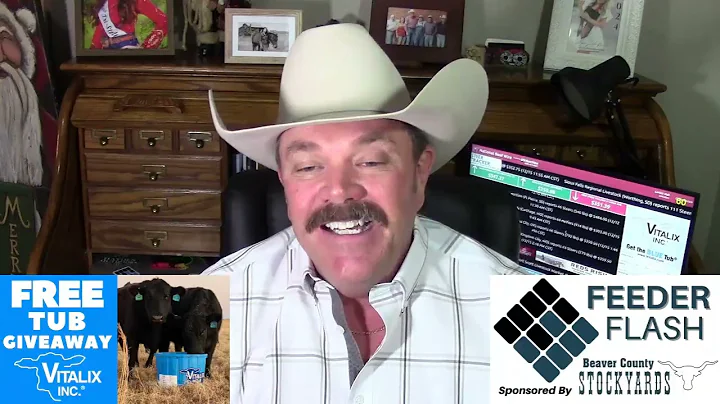 Feeder Flash 12/16:  Higher Market, Higher Volume