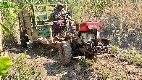 ngày 5 tháng 3, 2024 xe công nông chở chuối lên dốc cực khỏe