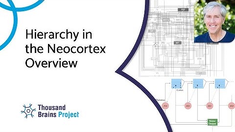 2023/01 - Hierarchy in the Neocortex Overview