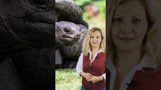 🏝️ Ударение номер четыре: СЕЙШЕЛЫ. Райские места знаний – https://clck.ru/3PPL4Q