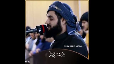 رعد الكردي سورة التوبة🧡..
