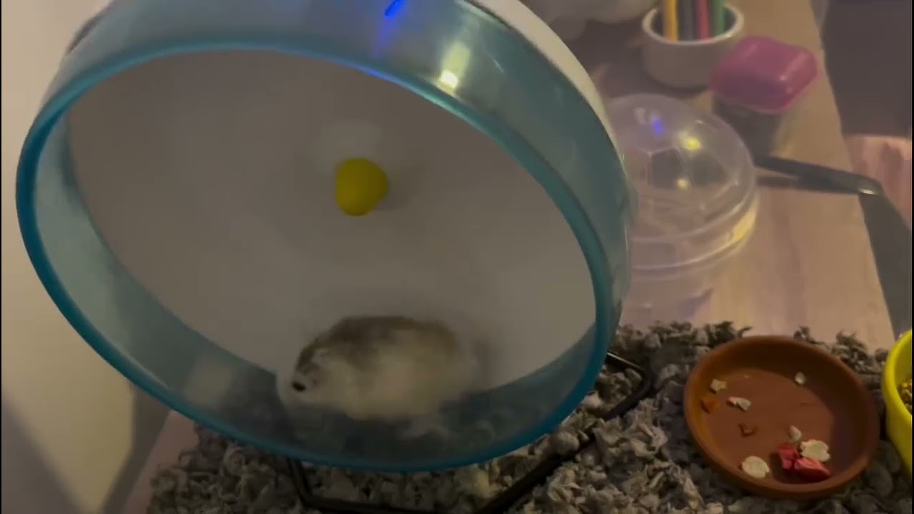 💔...Follow for more 