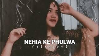 NEHIA KE PHULWA || SLOWED REVERB || #slowedandreverb #bhojpurisong