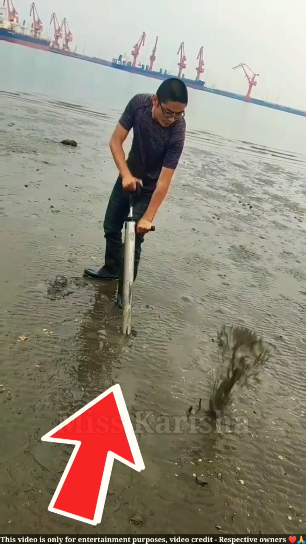 बारिश के पानी से जानवर fish कैसे पकड़ता है || rain animal || #shortsvideo