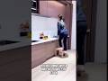 Space-Saving Kitchen Step Stools